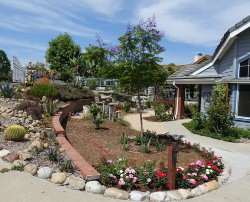 Otay Water District Winner 2019 Cissell Front