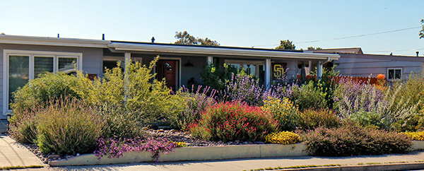 2025 Landscape Contest Winner 600w
